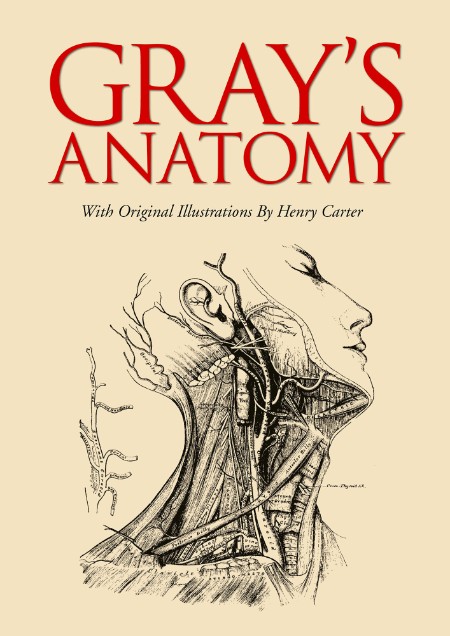 GRay's Anatomy by Henry GRay D40e495952645a35f22df43cb80788c6