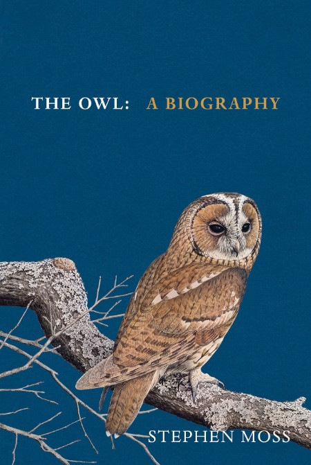 The Owl by Stephen Moss 237f609f473267a8370f5147b47db0e2