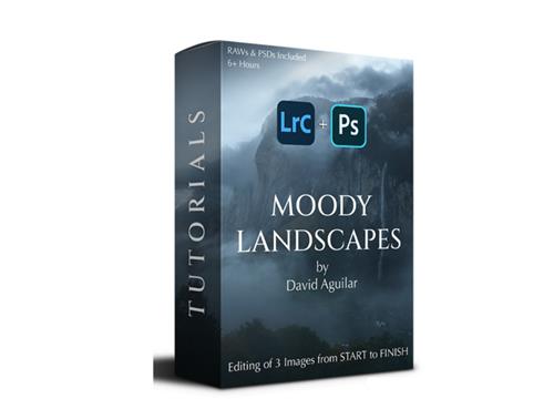 David Aguilar – Moody Landscapes