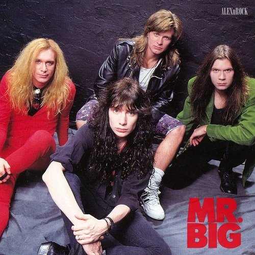 Mr. Big - Collection (2024) FLAC
