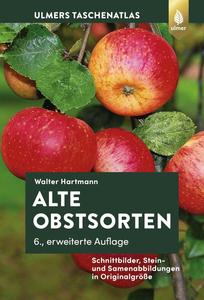 Alte Obstsorten Schnittbilder, Stein– und Samenabbildungen in Originalgröße, 6. Auflage