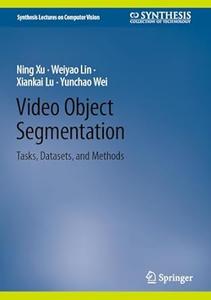 Video Object Segmentation Tasks, Datasets, and Methods
