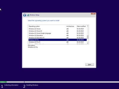 Windows 11 & Windows 10 AIO 29in1 Multilingual (x64) Preactivated January 2024