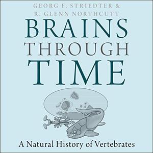 Brains Through Time A Natural History of Vertebrates [Audiobook] (2024)