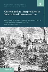 Custom and its Interpretation in International Investment Law Volume 2
