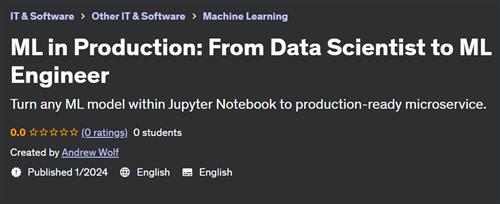 ML in Production From Data Scientist to ML Engineer