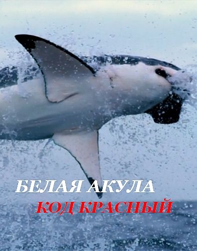 Белая акула. Код красный / Great White Code Red (2018) HDTVRip 720p | P1