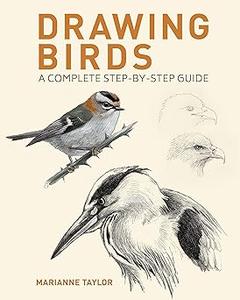 Drawing Birds A Complete Step-by-Step Guide