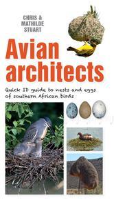 Avian Architects Quick ID Guide to Nests and Eggs of Southern African Birds