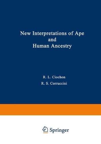 New Interpretations of Ape and Human Ancestry