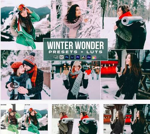 Winter Wonder Presets And luts Videos Premiere Pro - B28QNJW