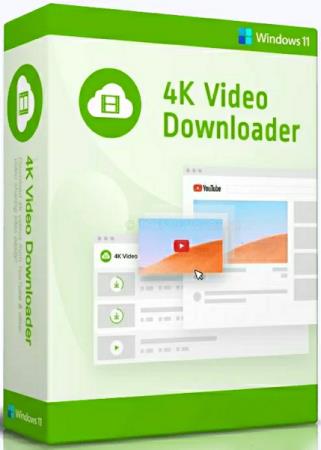 постер к 4K Video Downloader 4.31.1.0092 + Portable