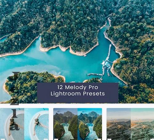 12 Melody Pro Lightroom Presets - J627UU4