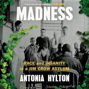 Madness: Race and Insanity in a Jim Crow Asylum [Audiobook]