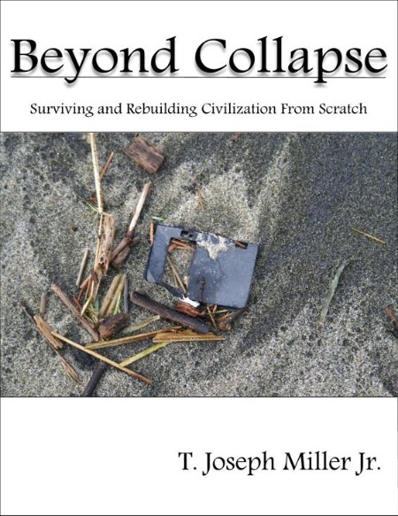 Beyond the Collapse by Rei Rosenquist 76aa1c254d02e04cec99a391eb9523db