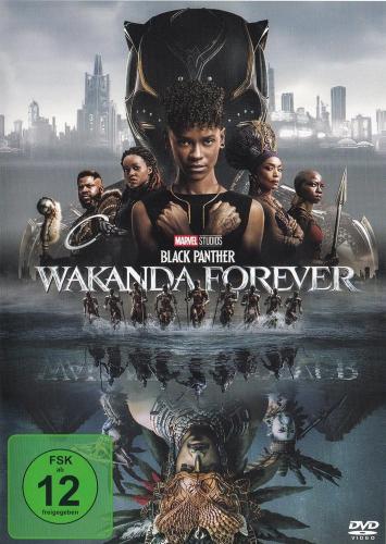 Black Panther Wakanda Forever 2022 German AC3 BDRip x264 - CDX