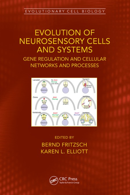 Evolution of Neurosensory Cells and Systems by Bernd Fritzsch A6d4505f7da7b6bdb4f1c7386feb7f67