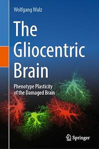 The Gliocentric Brain