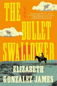 The Bullet Swallower A Novel