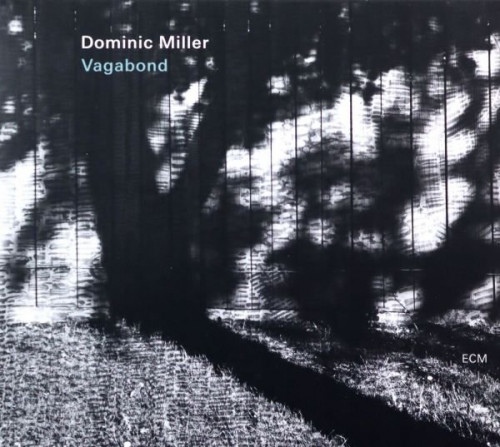 Dominic Miller - Vagabond (2023) Lossless