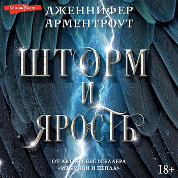 постер к Арментроут Дженнифер Ли - Шторм и ярость (Аудиокнига)