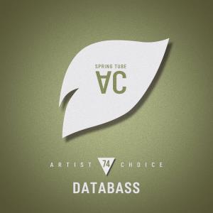 Artist Choice 074: Databass (2024)