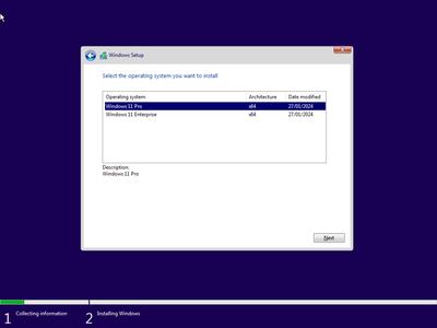 Windows 11 ProEnterprise 23H2 Build 22631.3085 (No TPM Required) Preactivated Multilingual