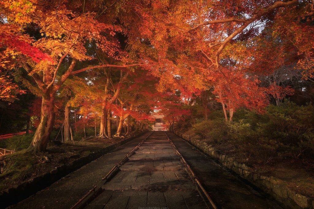 Tokio - Običaj posmatranja jesenjeg lišća 6b51979a6665f976a27d3190ea26880b