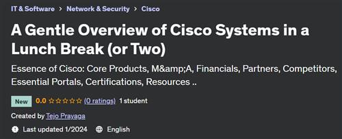 A Gentle Overview of Cisco Systems in a Lunch Break (or Two)