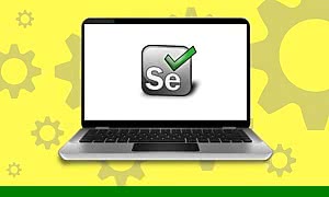 Selenium Java - Beginner to Advanced (Live Project) (2023-08)
