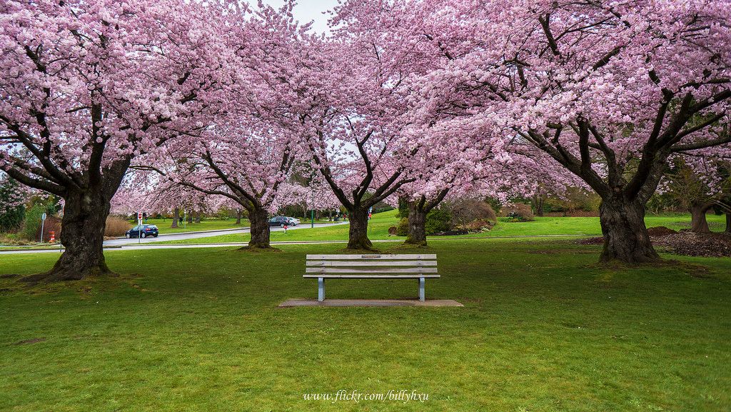 Park kraljice Elizabete Ef261736708ed5d8127ba73139f73c8f