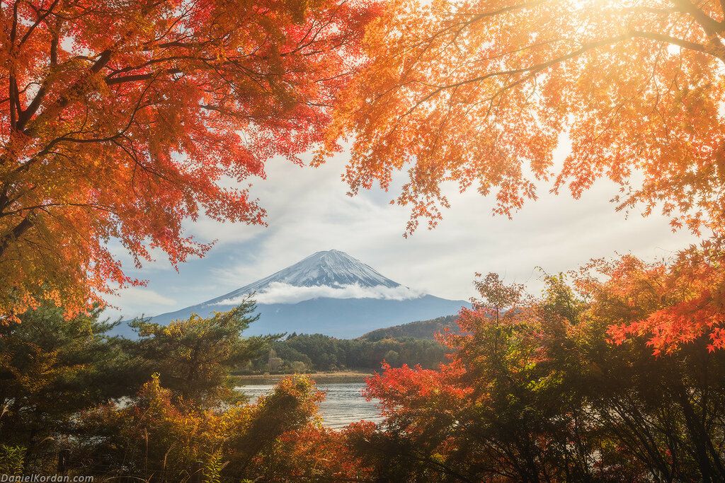 Tokio - Običaj posmatranja jesenjeg lišća 6dd5c16e24b0af738b358bd5d75ca1bd