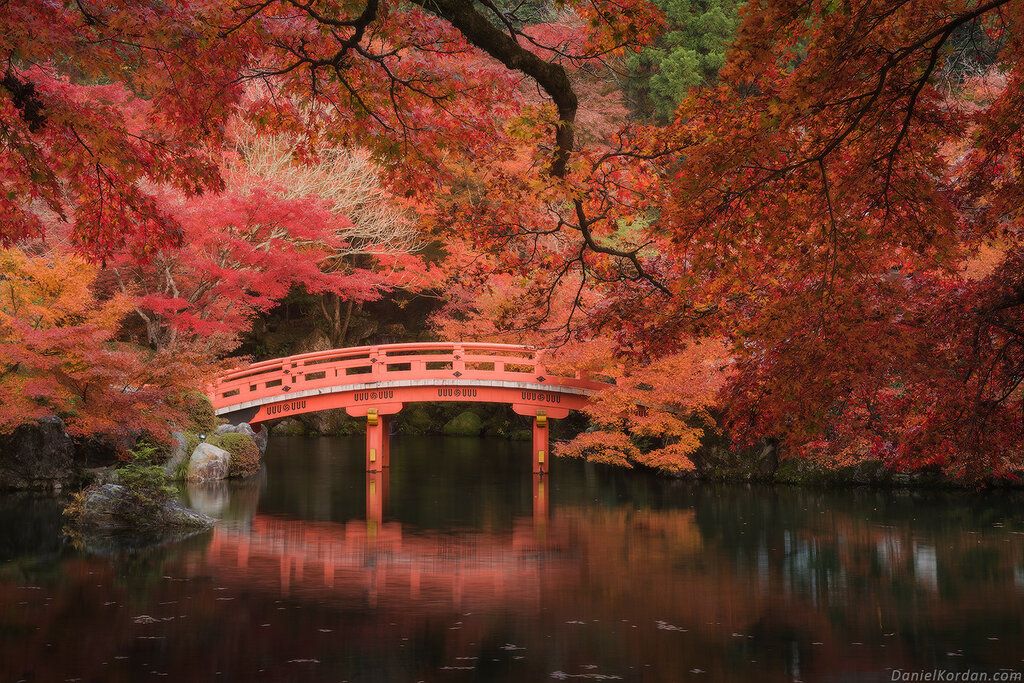 Tokio - Običaj posmatranja jesenjeg lišća 4dfe5f95e1c7a6209eb4ded8c662e5c8
