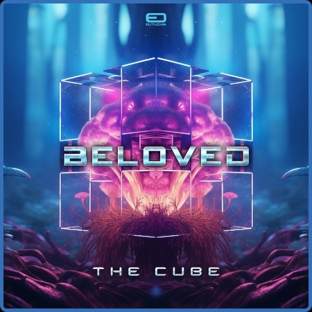 Beloved - The Cube (2024)