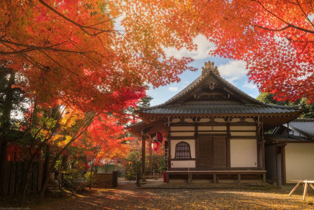 Tokio - Običaj posmatranja jesenjeg lišća 1c048fd0c41eefc6e3c5904be209ddfb