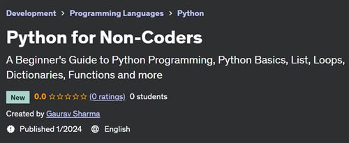 Python for Non–Coders