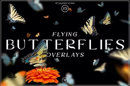 Flying Butterflies Overlays - ZJQWTY3