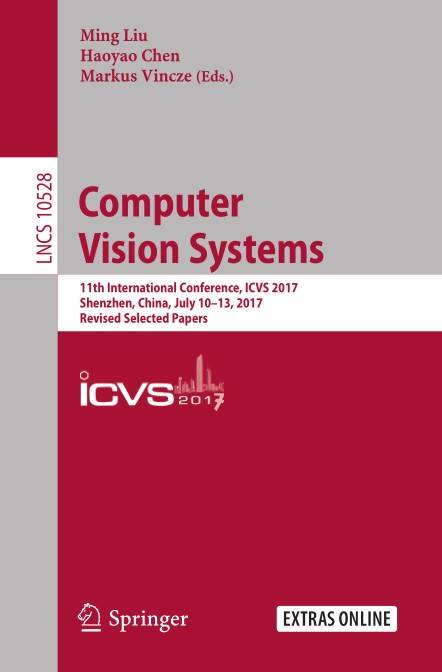 Computer Vision Systems (2024)