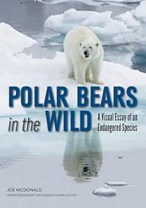 Polar Bears In The Wild A Visual Essay of an Endangered Species (2024)