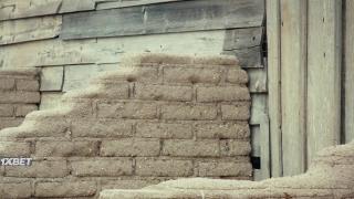 Розыск: Закон Брейкера (2023)