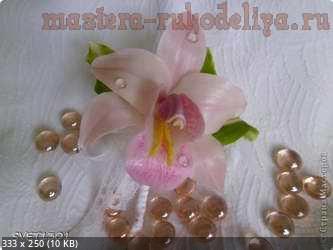 Орхидея цимбидиум 9f1339f54d2b97508e82598dae0eee01