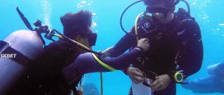 Погружение (2022)