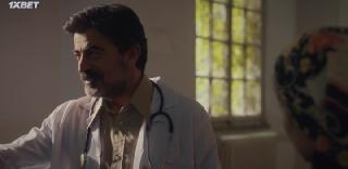 Пшеничное зерно (2022)