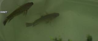 Биосфера (2022)