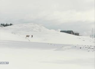 Кусочек неба (2022)