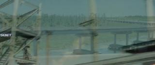 Защитный страх (2021)