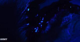   (2021)