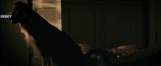    (2023)