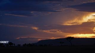 Любовь в пампасах (2023)