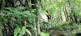 Заплутавшая (2021)